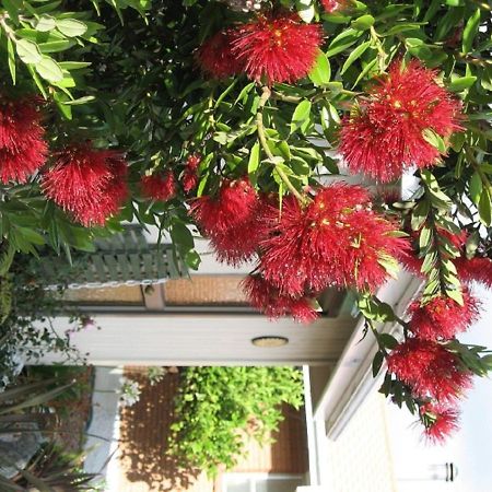 252 Beachside Motels & Holiday Park Hokitika Eksteriør billede